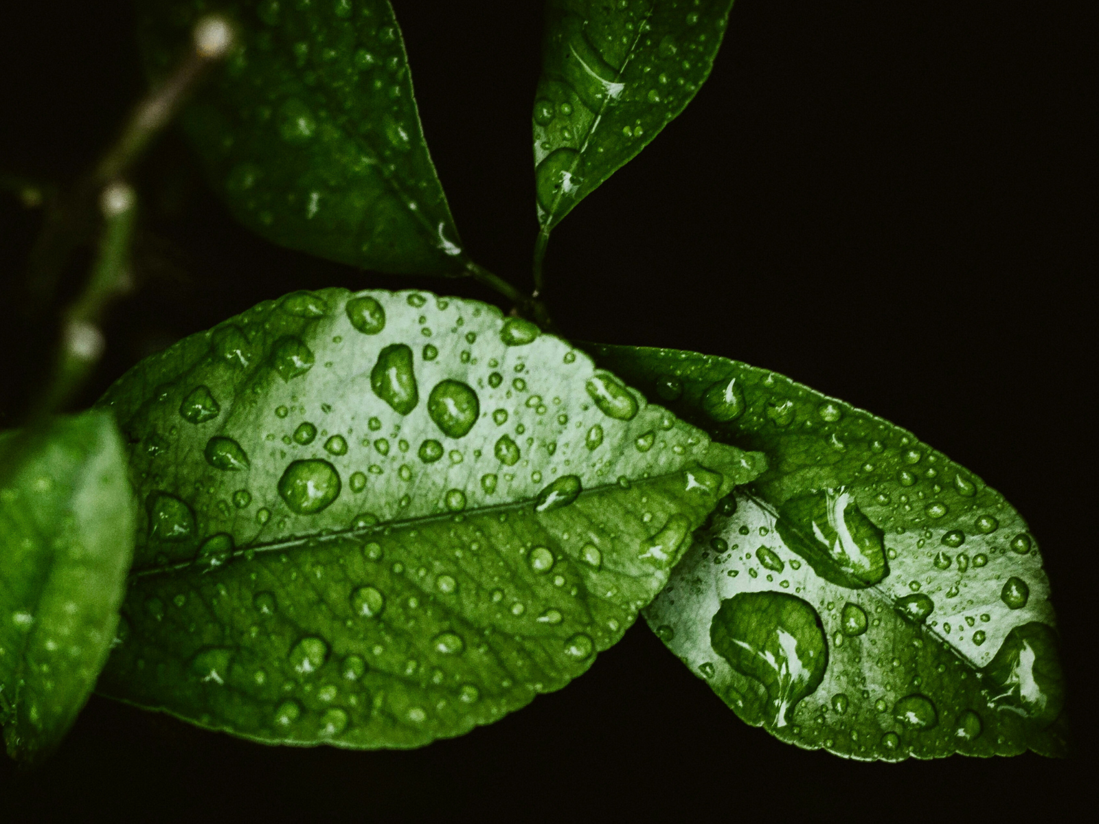 From Skin to Soul: Why Your Lube’s Ingredients Matter